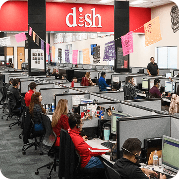 Wide shot of employees at cubicles